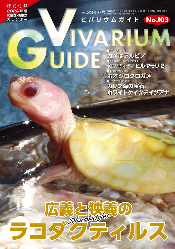 ビバリウムガイド 2023年 12月号 [雑誌]