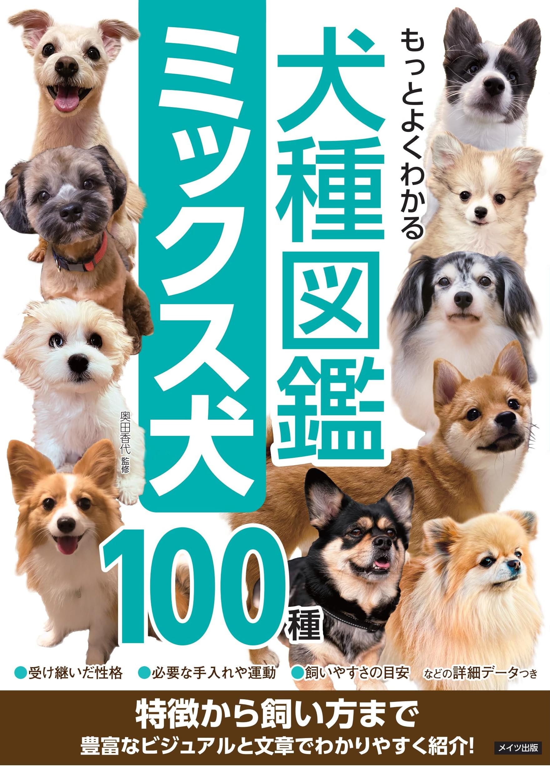 日本の犬